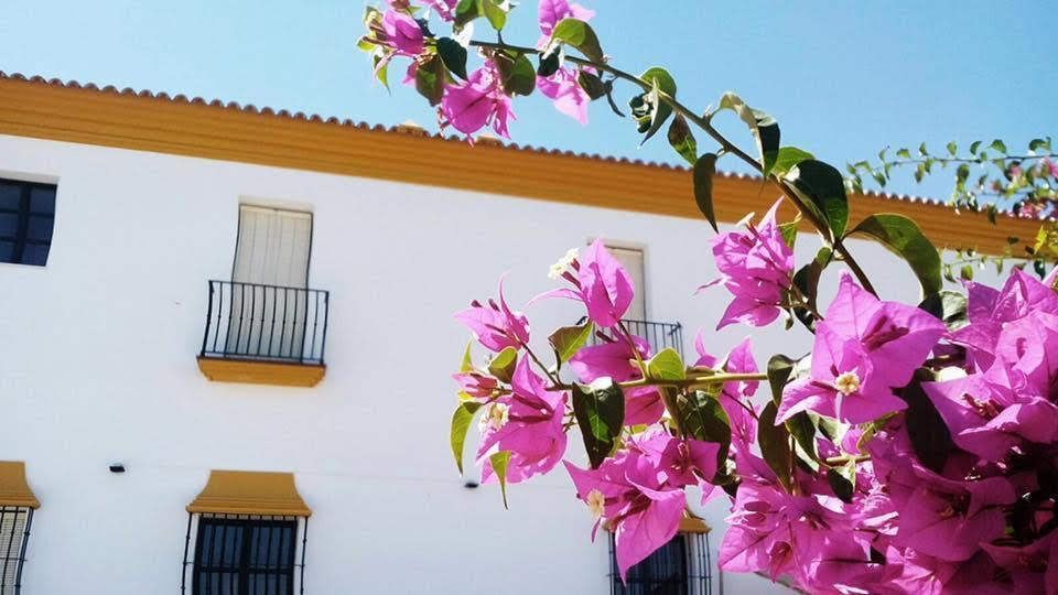 Hotel Andalou Montellano المظهر الخارجي الصورة