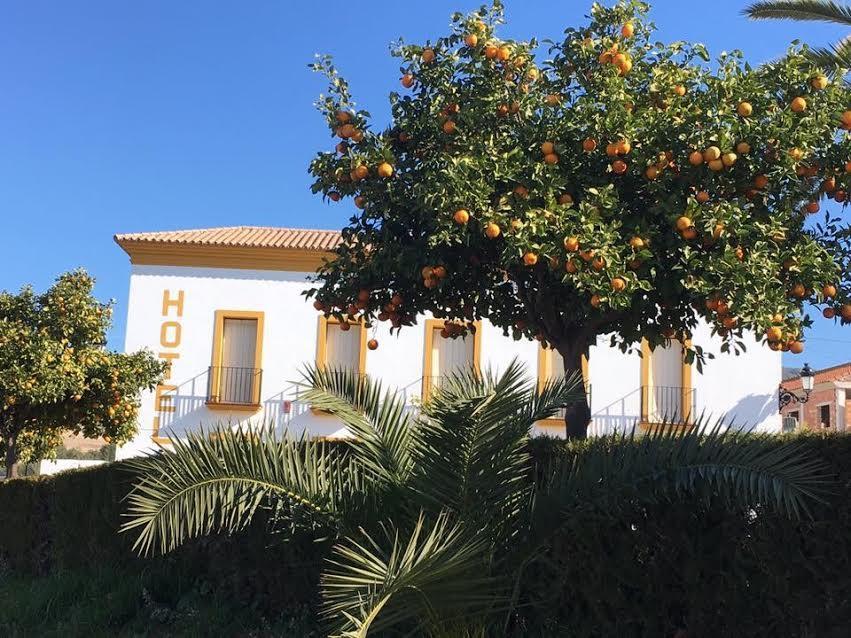 Hotel Andalou Montellano المظهر الخارجي الصورة